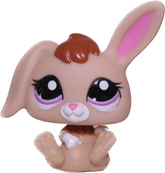 #2620 Baby Rabbit